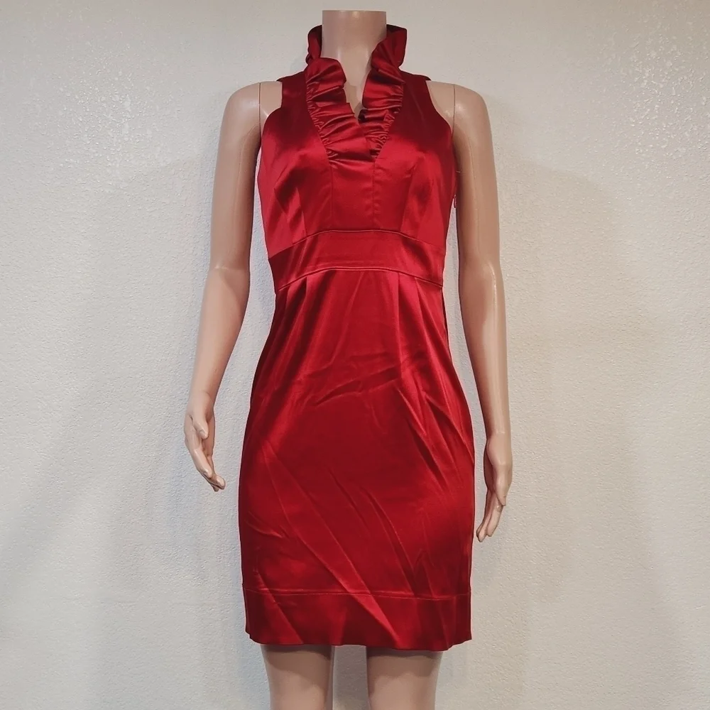 Taylor Red Fully Lined Party Ruffle Collar Dress Size: 4